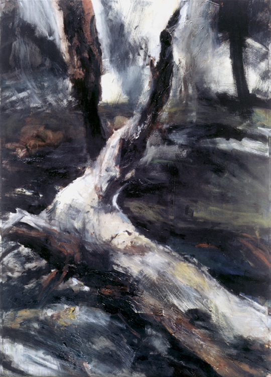 Zauber der_ orahnung - Tomasz Piwarski